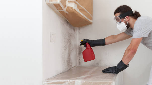 Professional Mold Remediation technician working in Mahwah, NJ