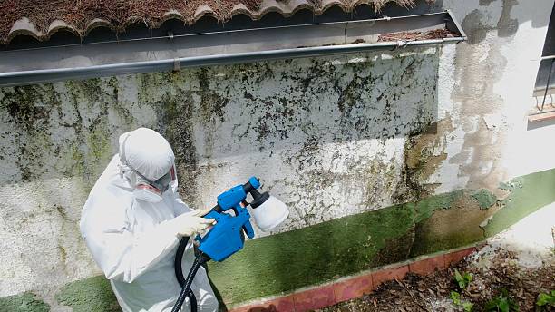 Top rated local Mold Remediation specialists in Mahwah, NJ